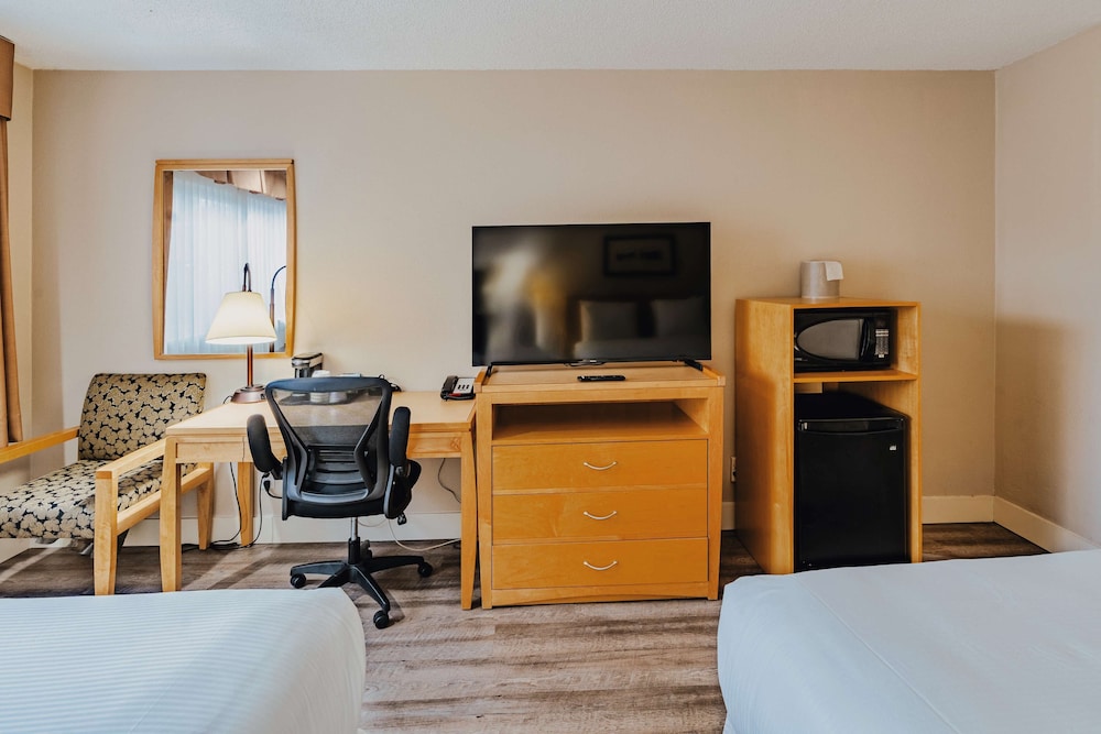 Suite, 2 Queen Beds, Non Smoking, Kitchenette - Photo 3