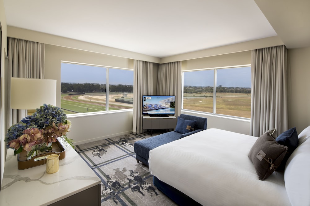 Executive Suite, 1 King Bed photo 3