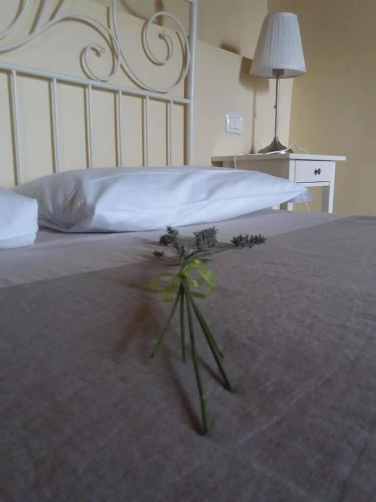 Superior Room photo 1
