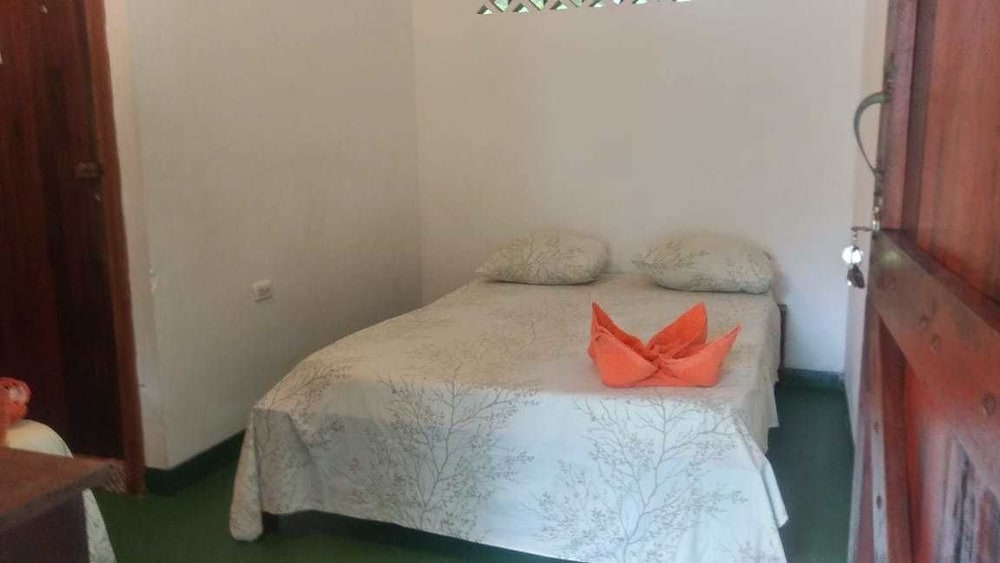 Standard Double Room, Multiple Beds photo 1