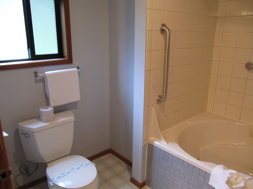 Fireplace Cabin #8, 2 Queens, Jetted Tub photo 2