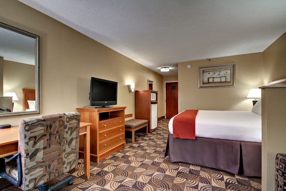 Standard Room, 1 King Bed with Sofa bed - Photo 9