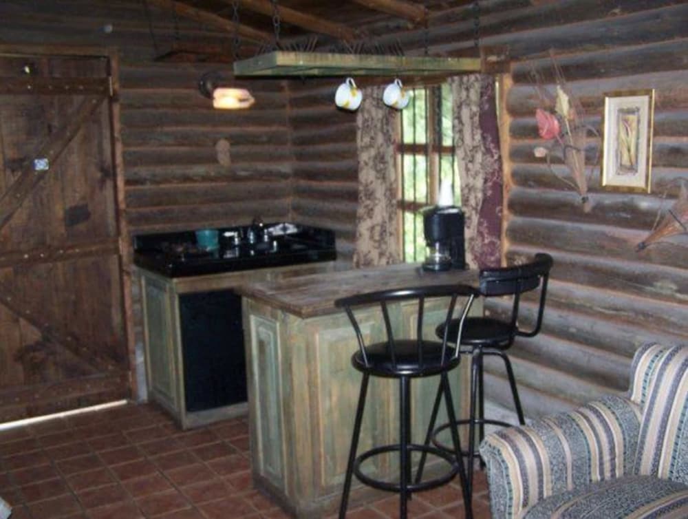 Family Cabin, 1 Bedroom, Kitchenette, City View, photo 6