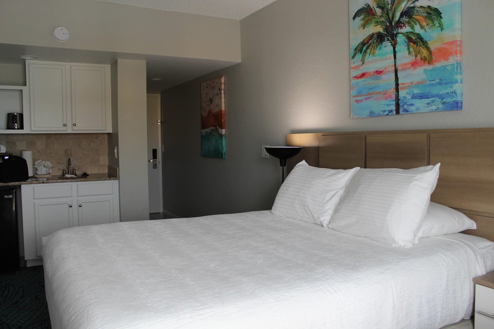 Suite, 1 Queen Bed, Non Smoking (Efficiency)