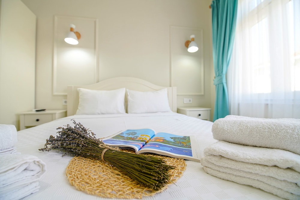 Deluxe Double Room photo 3