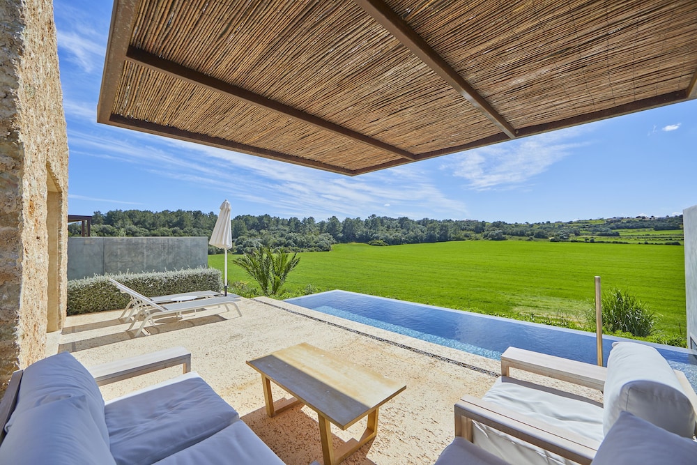 Deluxe Villa, 1 King Bed, Private Pool, Garden Area photo 3