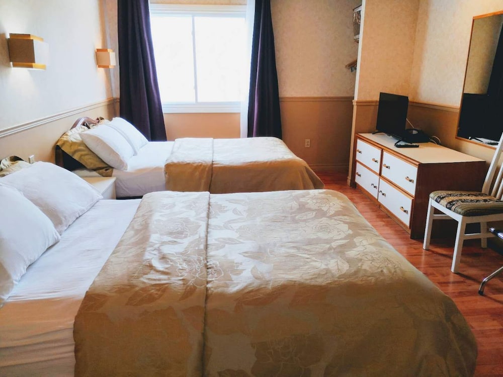 Studio, Multiple Beds photo 1