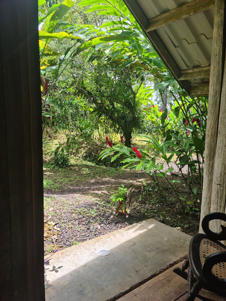 Standard Bungalow, Garden View photo 2