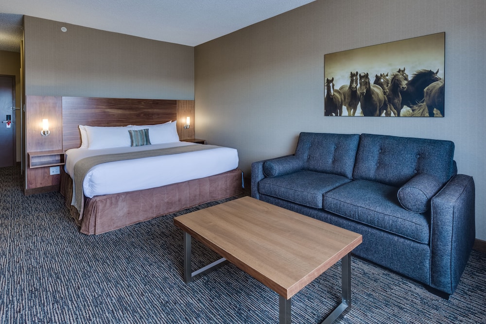 Elite Room, 1 King Bed photo 1