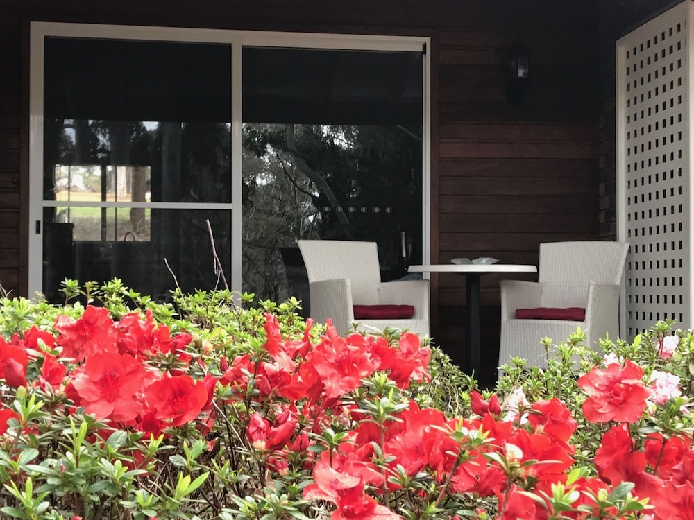 Panoramic Studio Suite, Multiple Beds, Kitchen, Garden View photo 3