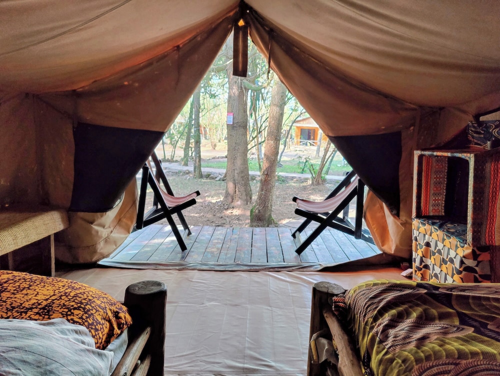 Self Contained Tent photo 3