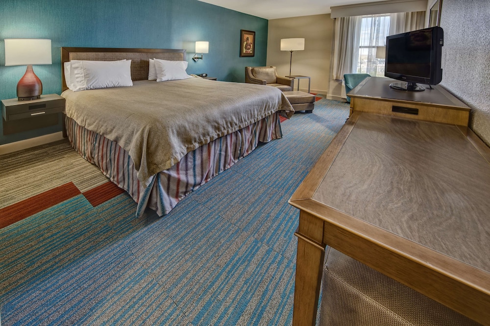 Room, 1 King Bed, Non Smoking - Photo 1
