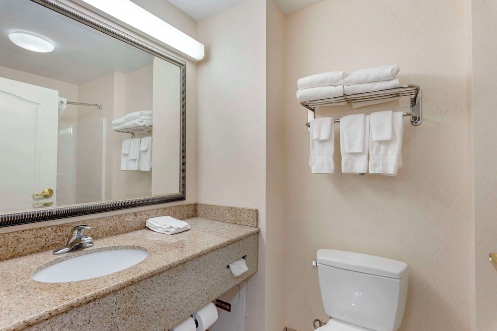 Suite, Multiple Beds, Non Smoking (2 Queen, 2 Person Sofa Bed) - Photo 5