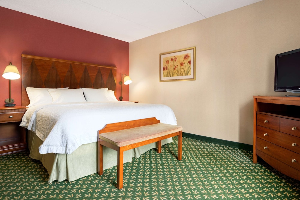 Room, 1 King Bed