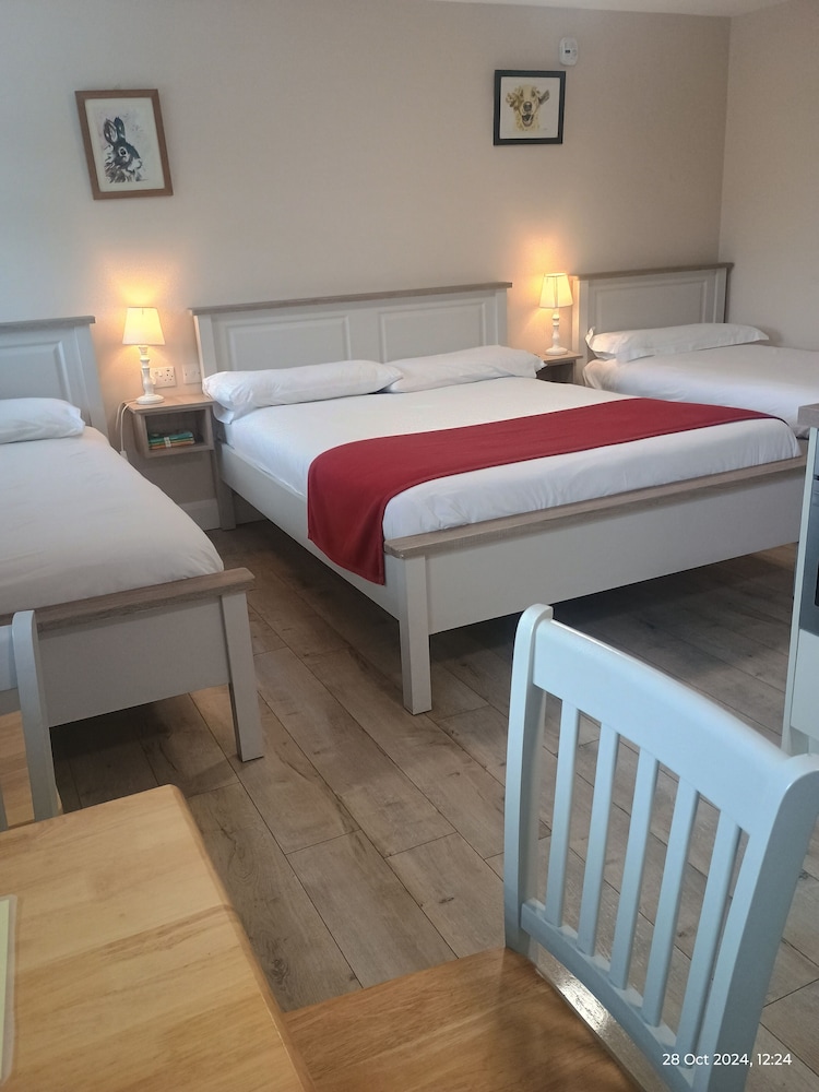 Comfort Room photo 3