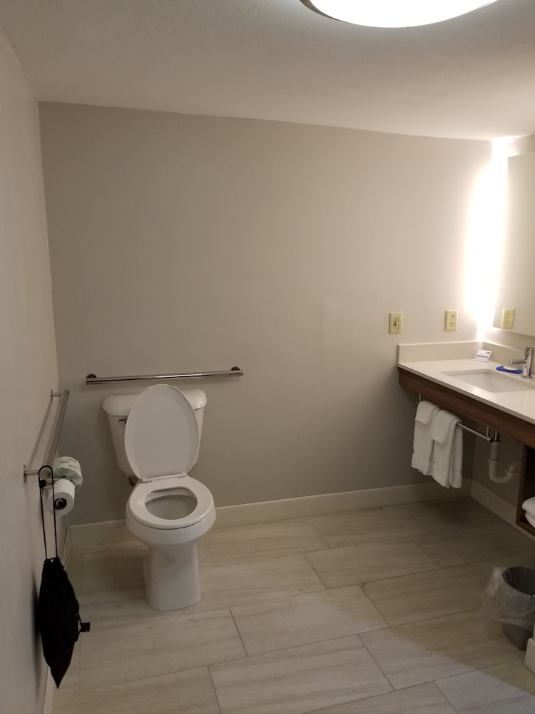 Room, Accessible (Roll-In Shower) photo 3