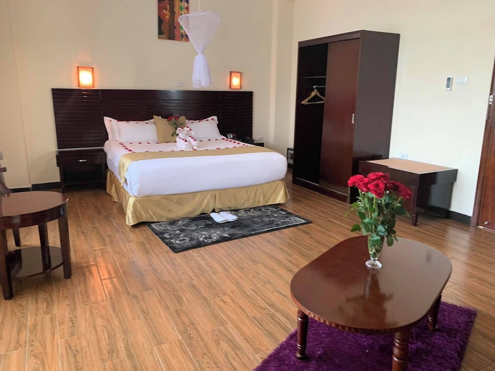 Junior Double Room, Accessible Bathtub, City View photo 1