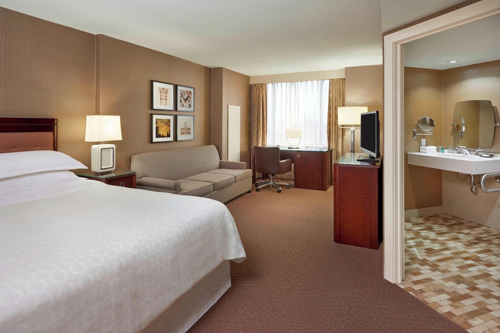 Room, 1 King Bed with Sofa bed