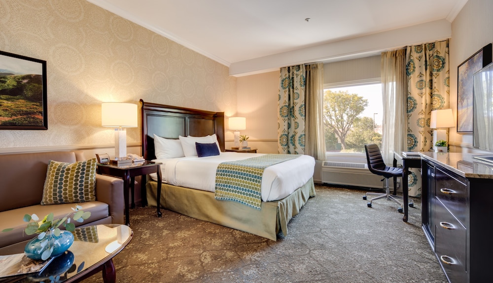 King Studio Suite - Photo 4