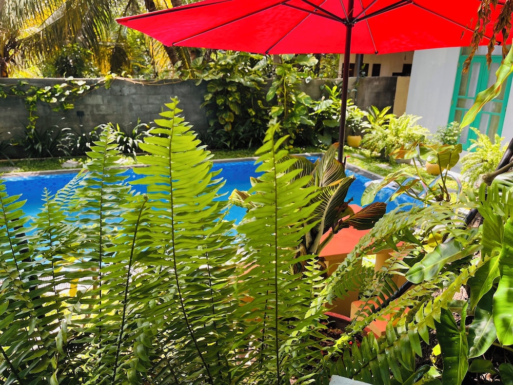 Soul Villa - Photo 1