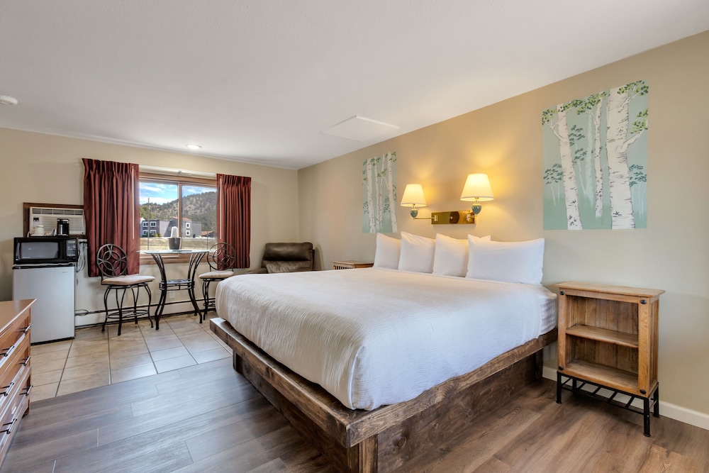 Economy Room, 1 King Bed (some pet friendly)