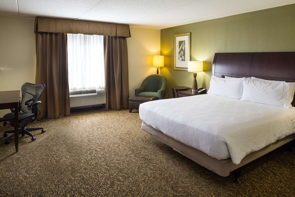 Room, 1 King Bed (Accessible Bathtub) - Photo 2