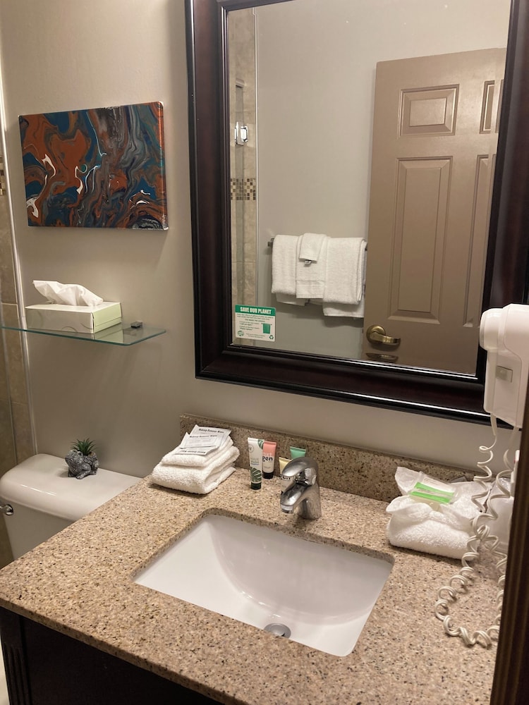 Deluxe Room - Photo 8