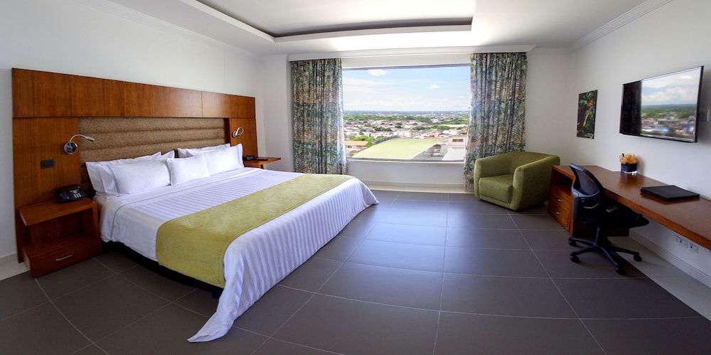 Single Room, 1 King Bed