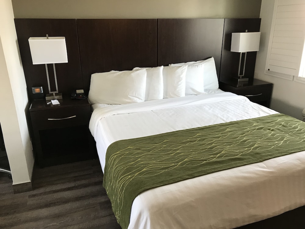 Deluxe Room, 1 King Bed photo 2