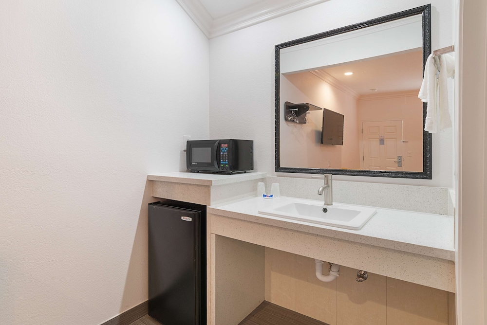 Deluxe Room, 1 King Bed, Non Smoking, Refrigerator & Microwave - Photo 10