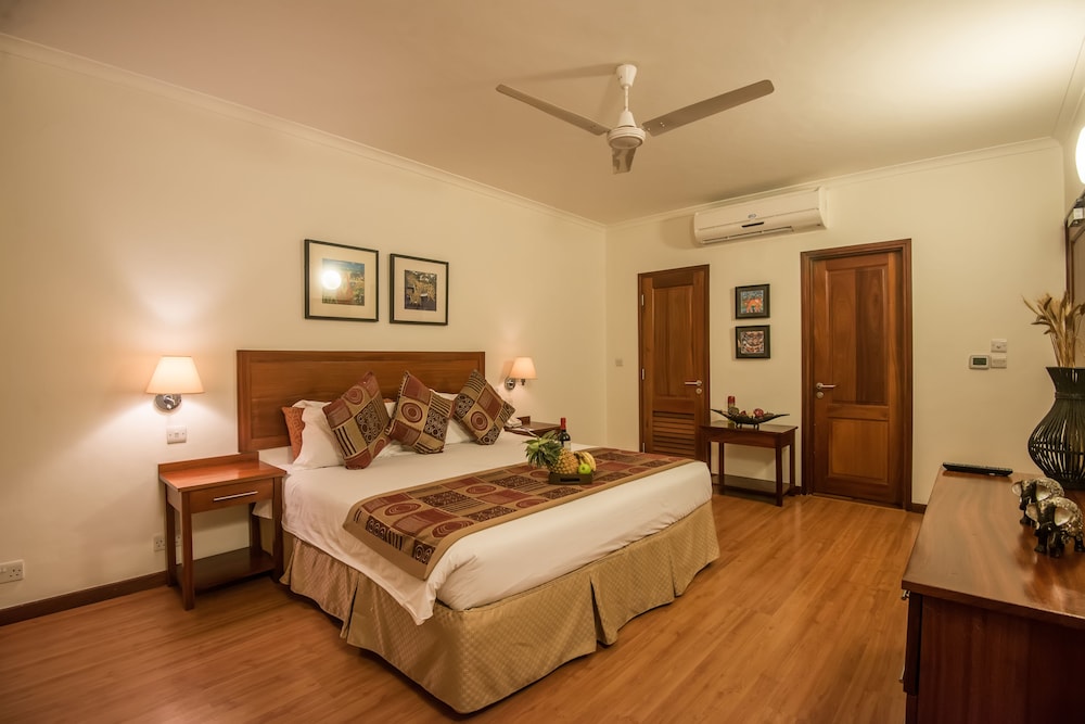 Comfort Studio, 1 King Bed, Kitchenette photo 3