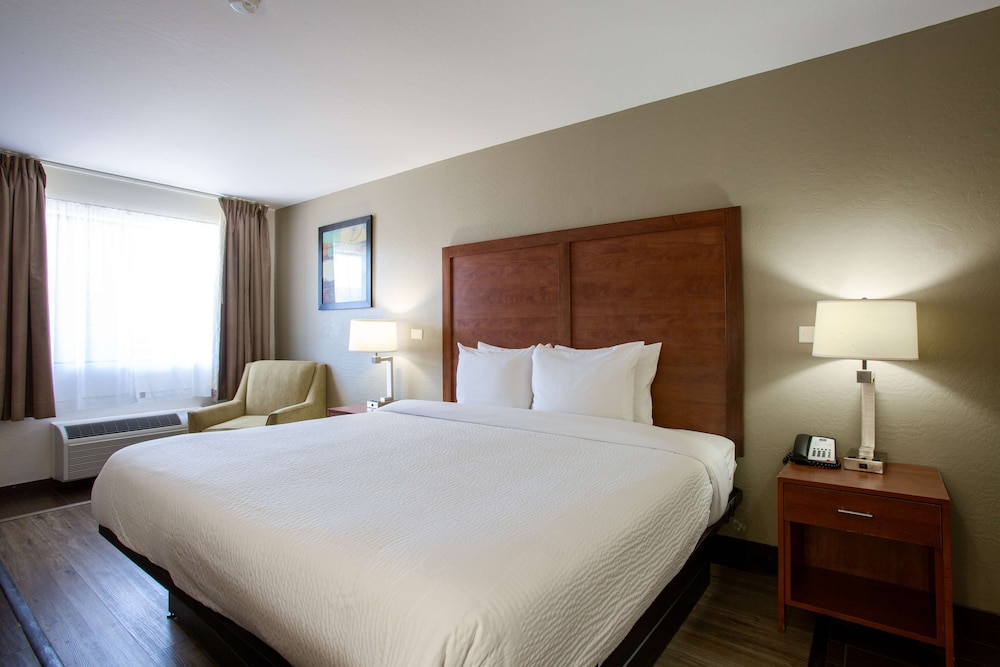 Standard Room, 1 King Bed, Accessible, Non Smoking (with Sofabed) - Photo 2