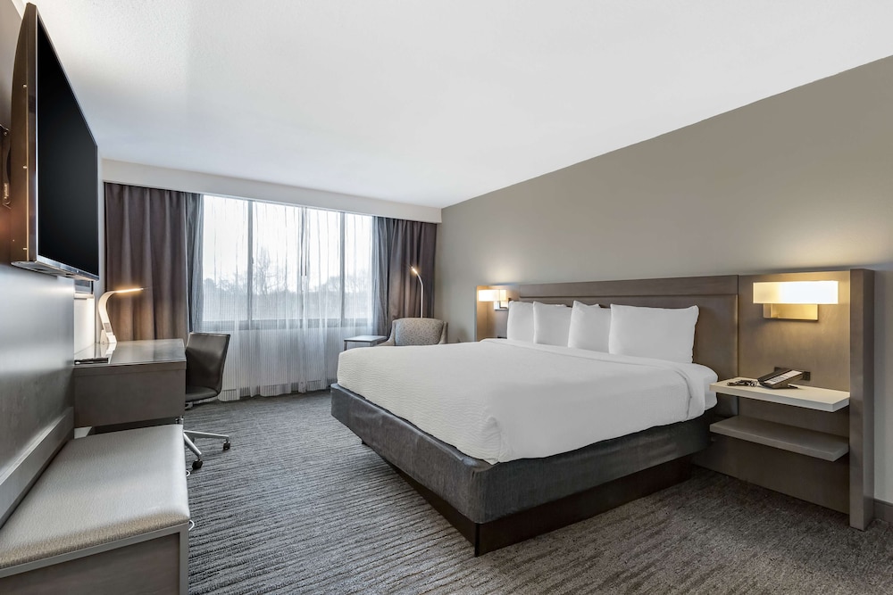Standard Room, 1 King Bed, Accessible, Non Smoking - Photo 5