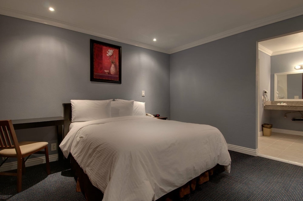 Standard Single Room, 1 King Bed, Accessible, Non Smoking photo 1
