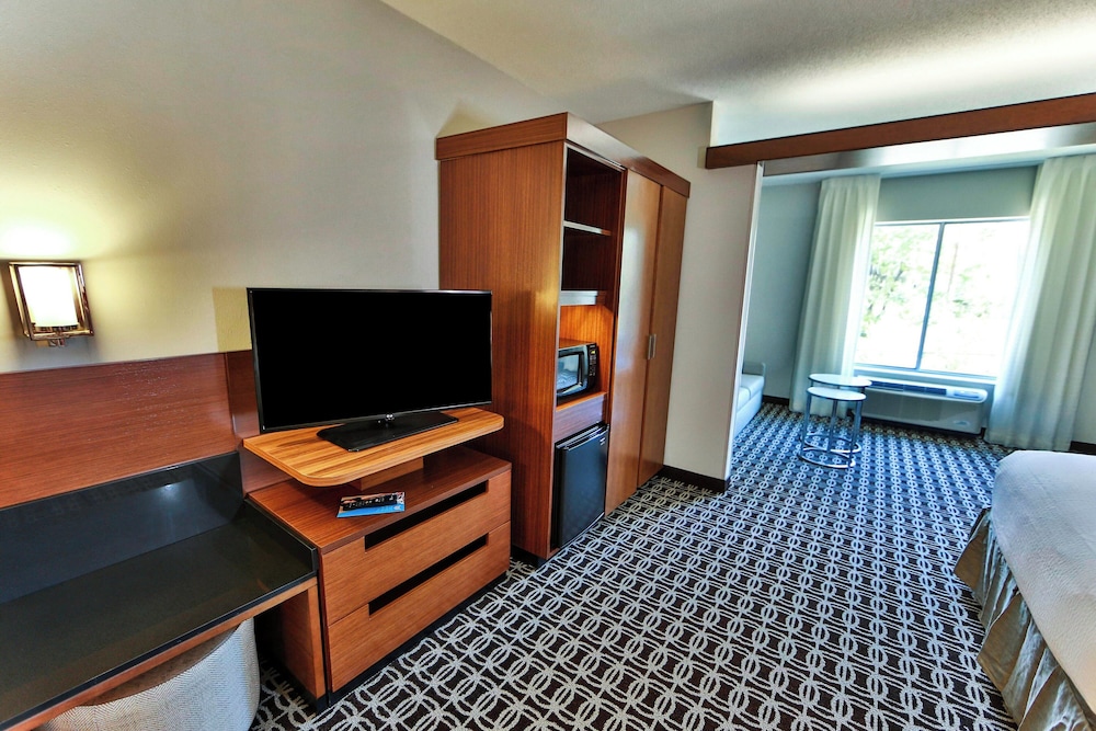 Executive Suite, 1 King Bed with Sofa bed (Mobility Accessible, Roll-In Shower) photo 1