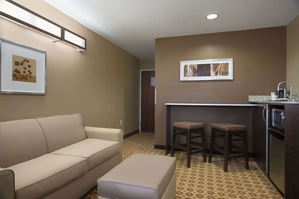 Suite, 1 Queen Bed photo 2