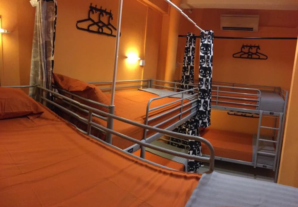 Standard bed in 6 beds mixed dormitory photo 3