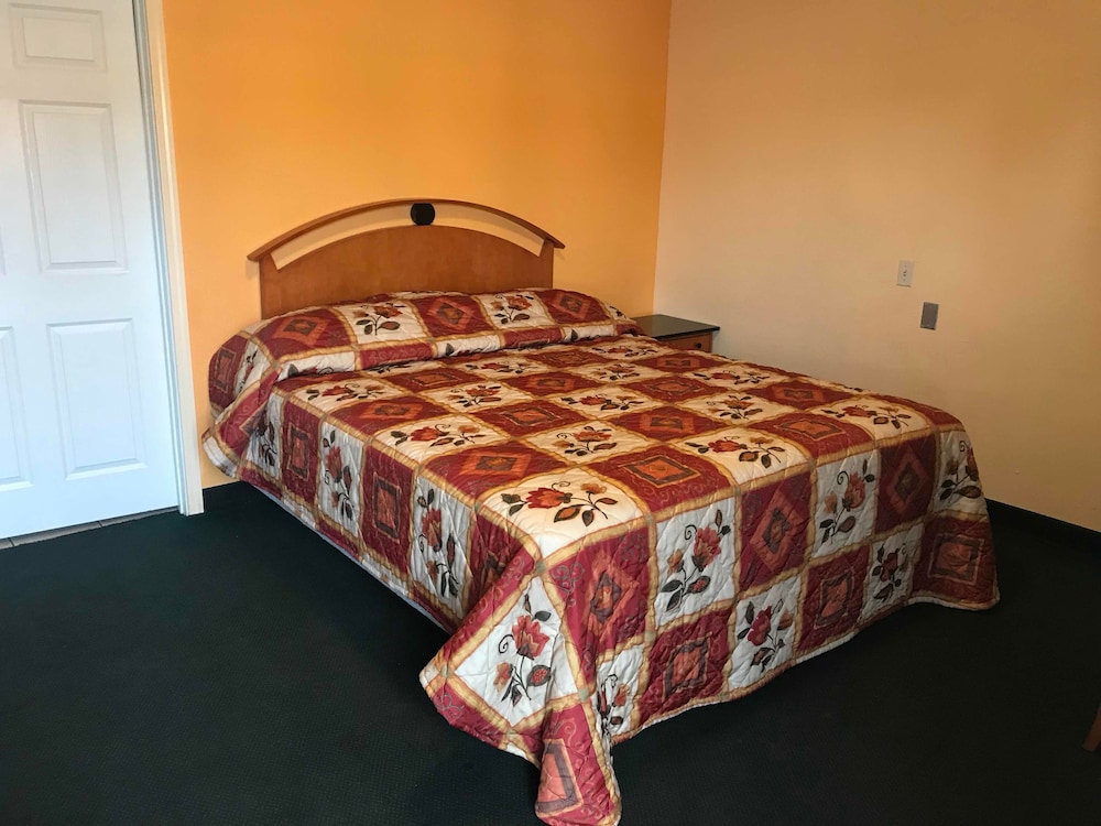 Standard Single Room, 1 King Bed photo 1