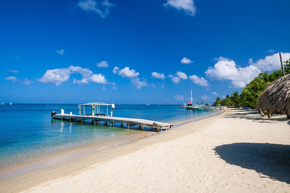 Condo, 3 Bedrooms, Terrace, Ocean View photo 2