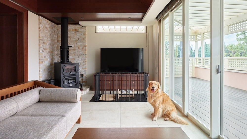 Superior Suite, Pets Allowed
