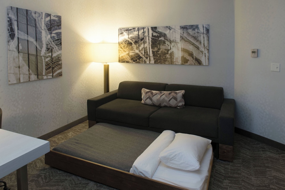 Suite, 1 King Bed with Sofa bed - Photo 3