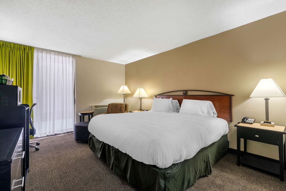 Room, 1 King Bed, Accessible, Non Smoking