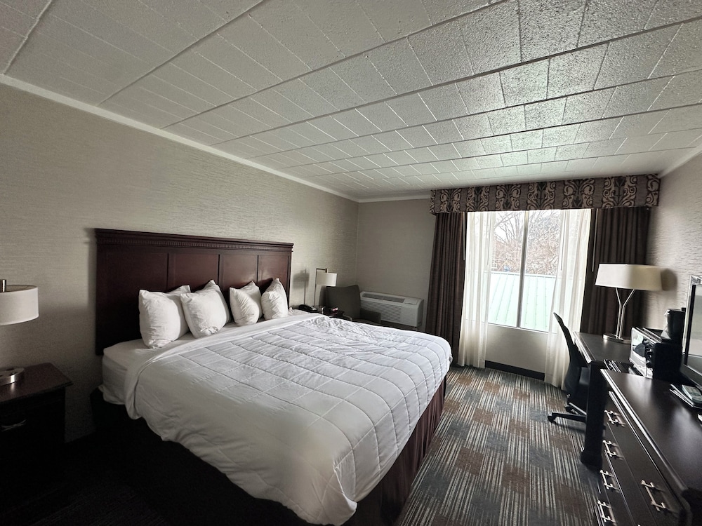Deluxe Room, 1 King Bed, Refrigerator & Microwave photo 1