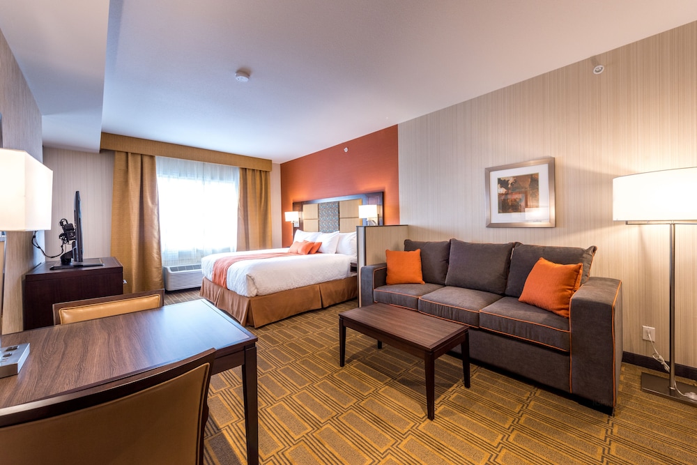 Standard Room, 1 King Bed, Non Smoking, Kitchenette (Larger Room) photo 2