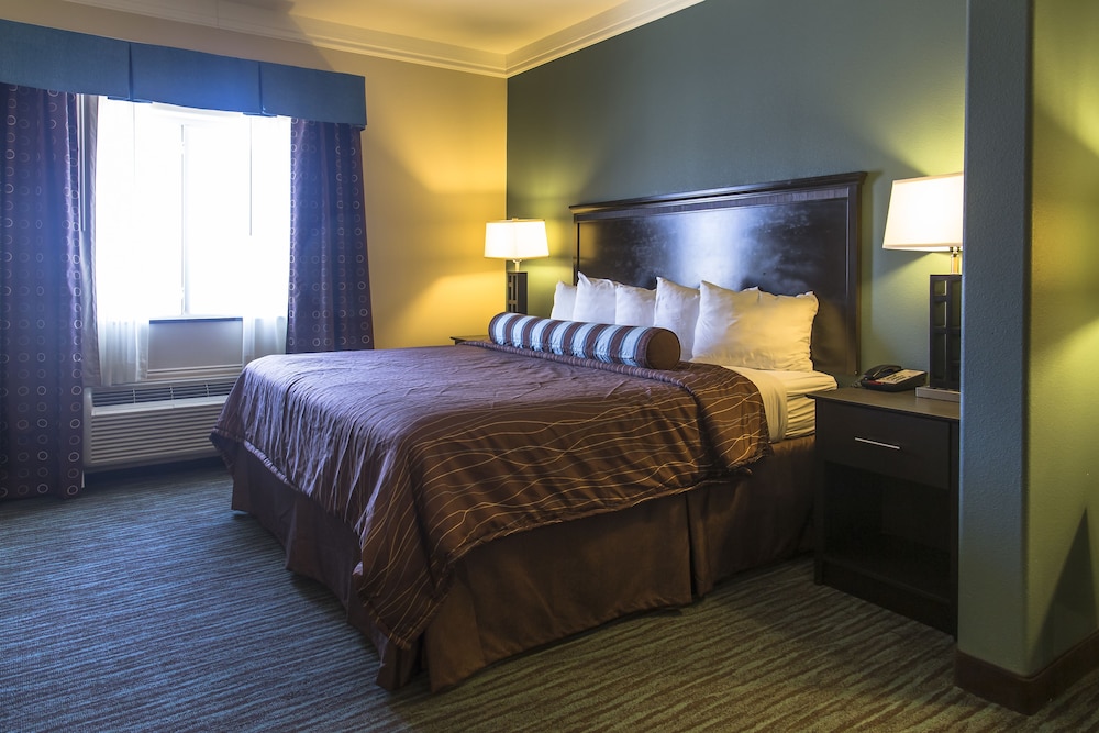 Studio Suite, 1 King Bed photo 2