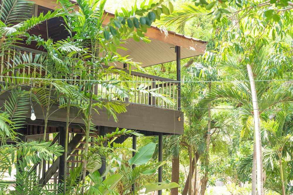 Treehouse photo 2