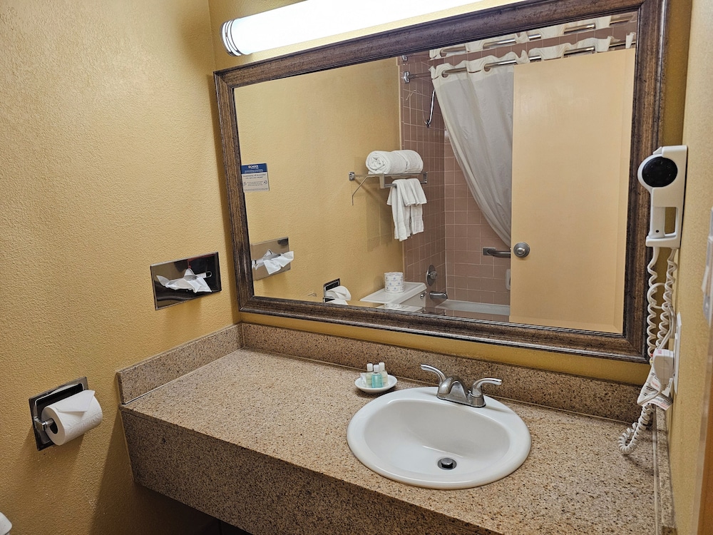 Deluxe Suite, 1 King Bed with Sofa bed, Non Smoking - Photo 13