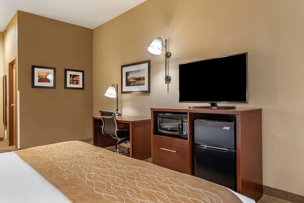 Standard Room, 1 King Bed with Sofa bed, Non Smoking - Photo 4