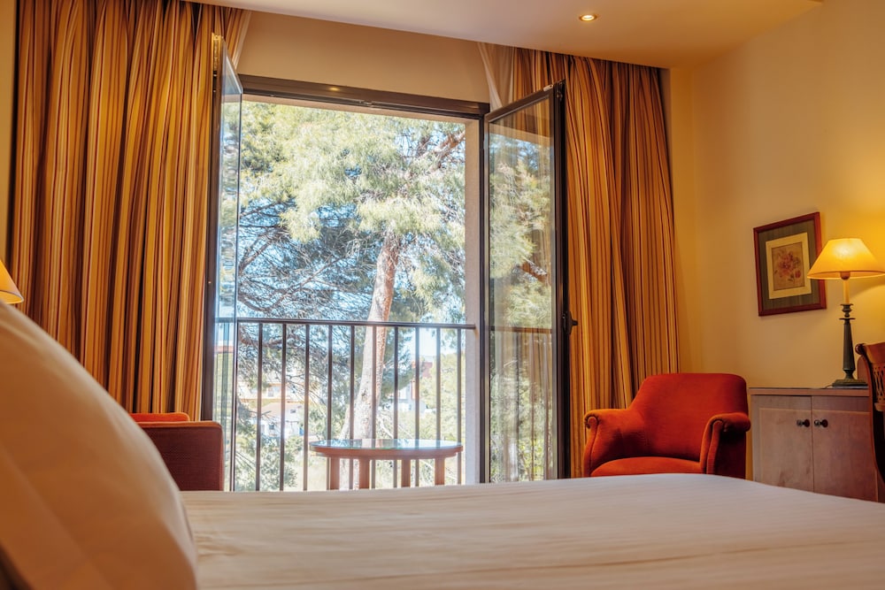 Deluxe Double or Twin Room - Photo 5