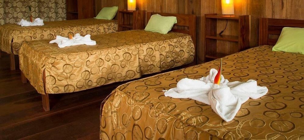 Twin Room photo 2